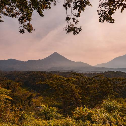 Reserva Natural Privada Patrocinio