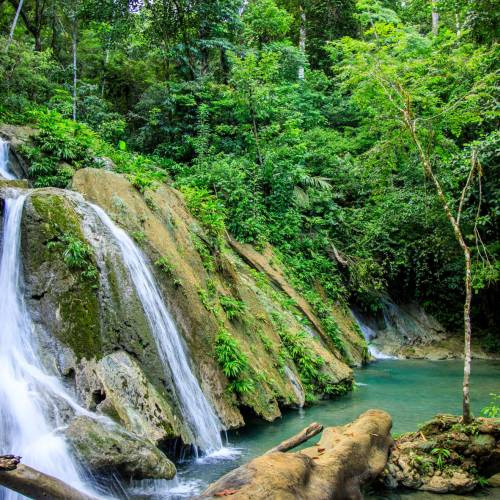 Reserva Protectora de Manantiales Cerro San Gil