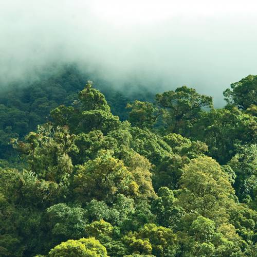 Reserva Natural Privada Chelemhá