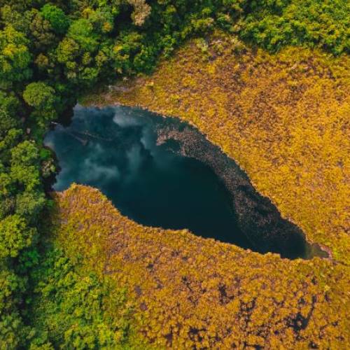 Parque Nacional El Rosario