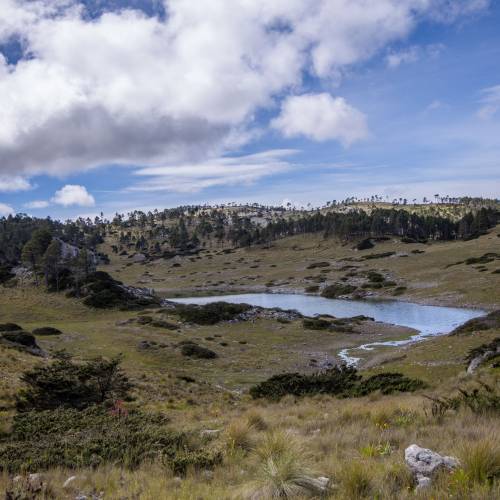 Parque Regional Municipal Todos Santos Cuchumatán