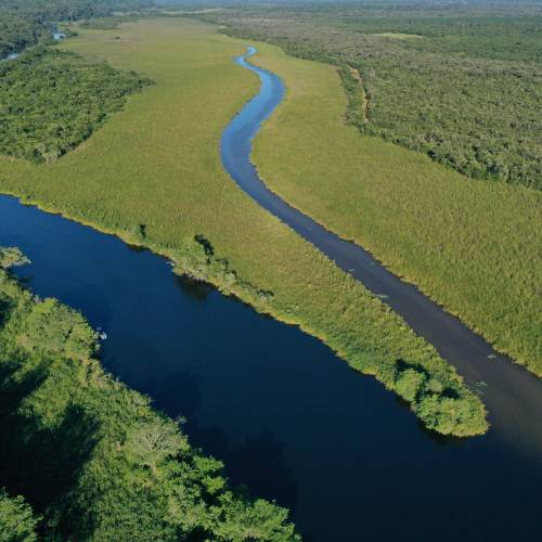 Parque Nacional Laguna del Tigre “Estación biológica Las Guacamayas”