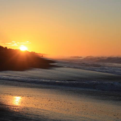 Área De Usos Múltiples Monterrico