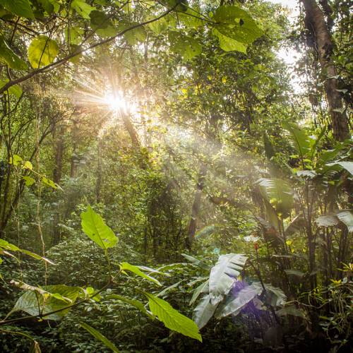 PARQUE REGIONAL MUNICIPAL SAN MARCOS