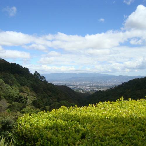 Reserva Forestal Protectora De Manantiales Cordillera Alux