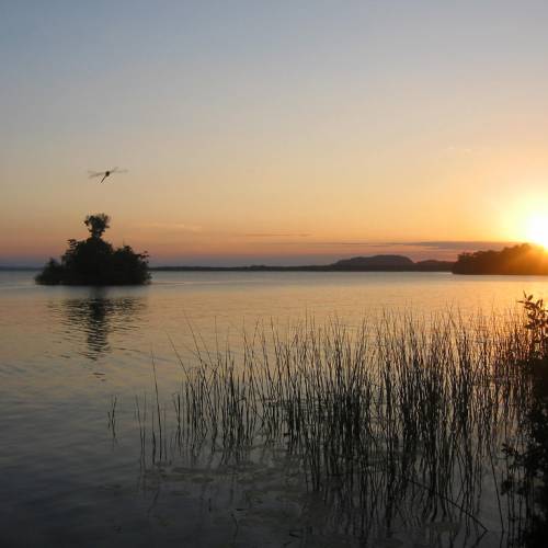Biotopo Protegido Chocón Machacas