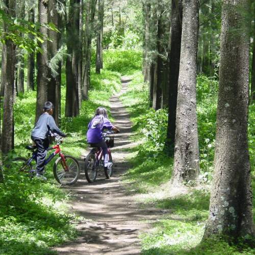 Parque Nacional Naciones Unidas