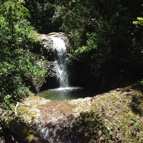 Reserva De Biosfera Trifinio