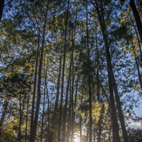 Reserva Natural Privada Corazón Del Bosque