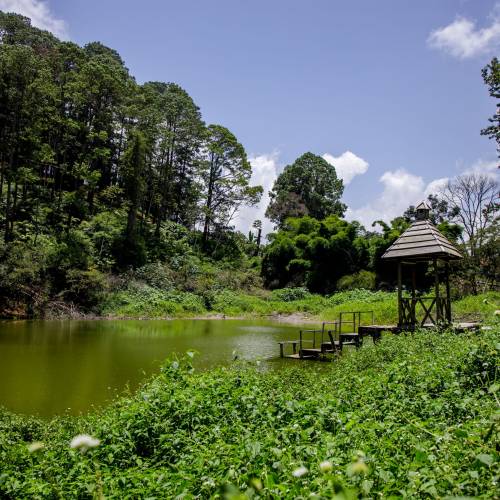 Parque Nacional Las Victorias
