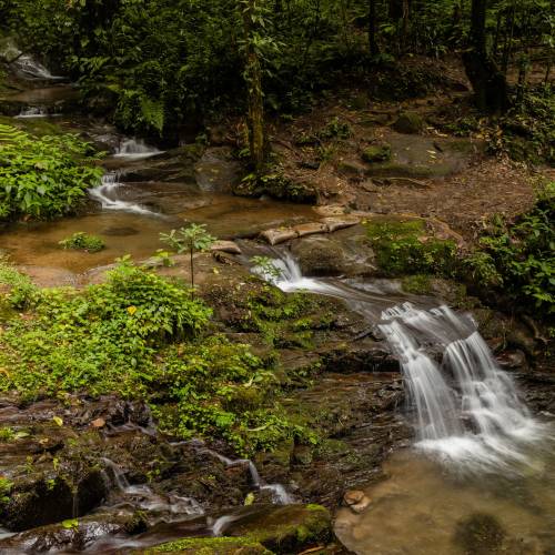 Parque Regional Municipal San Rafael Pie de la Cuesta